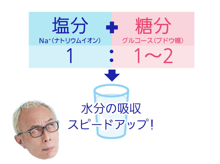 塩分 Na+(ナトリウムイオン) + 糖分 グルコース(ブドウ糖)、1:1~2 → 水分の吸収スピードアップ!
